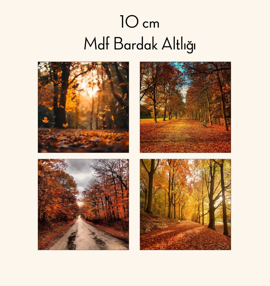 MDF BARDAK ALTLIĞI