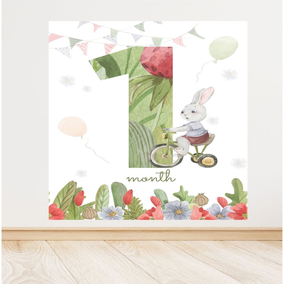 Tavşan Temalı  Doğum Günü Afiş