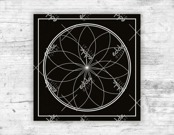 Siyah Zemin Üzerinde Beyaz Halkalar Desenli Dans Pisti Kaplaması