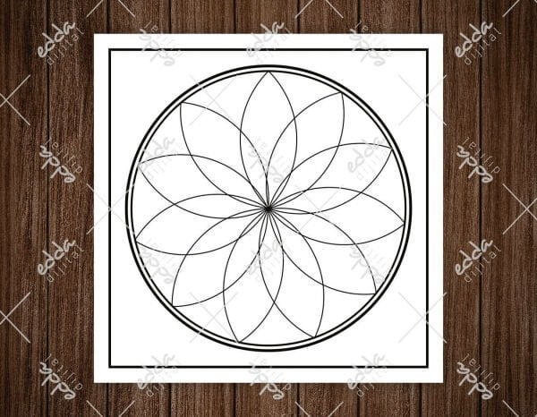 Beyaz Zemin Üzerine Siyah Halka Desenli Dans Pisti Kaplaması