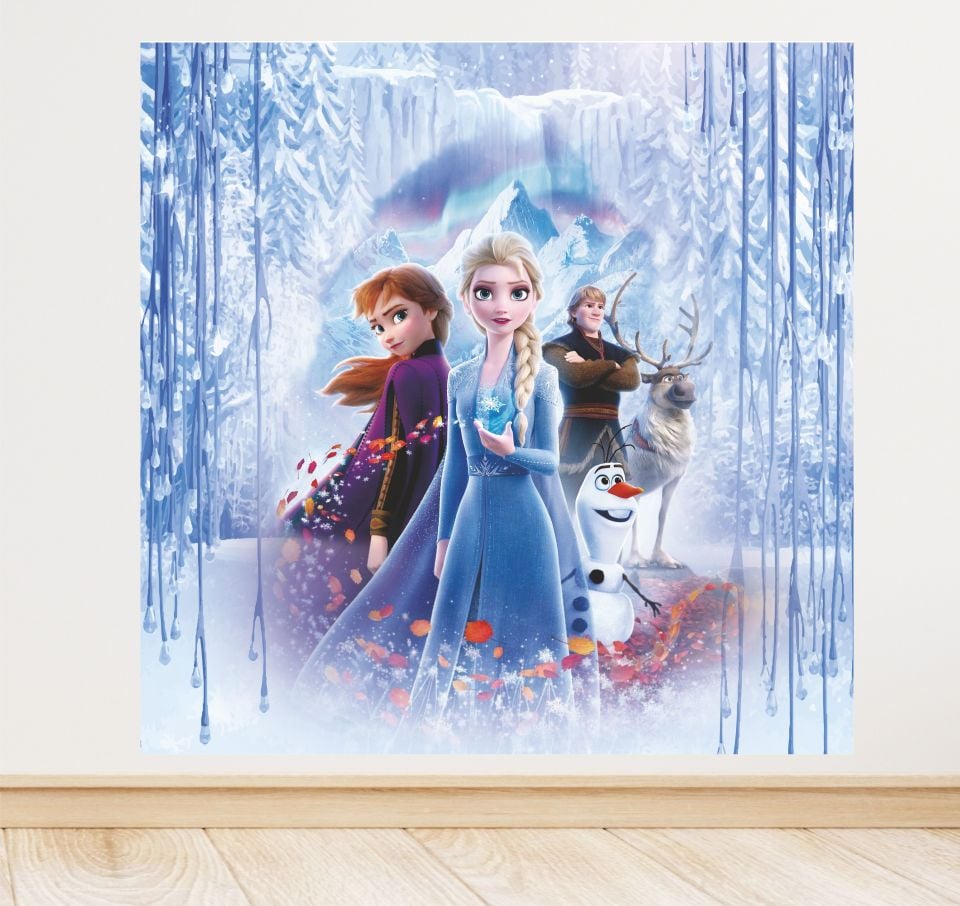 Elsa Temalı Doğum Günü Afiş