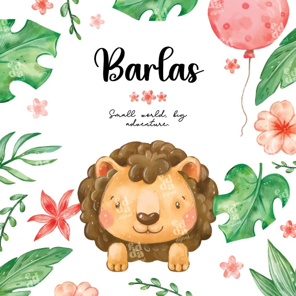 Safari Temalı Doğum Günü Afişi