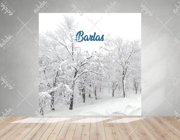 Kış Konsepti  Ağaçlar Temalı Afiş