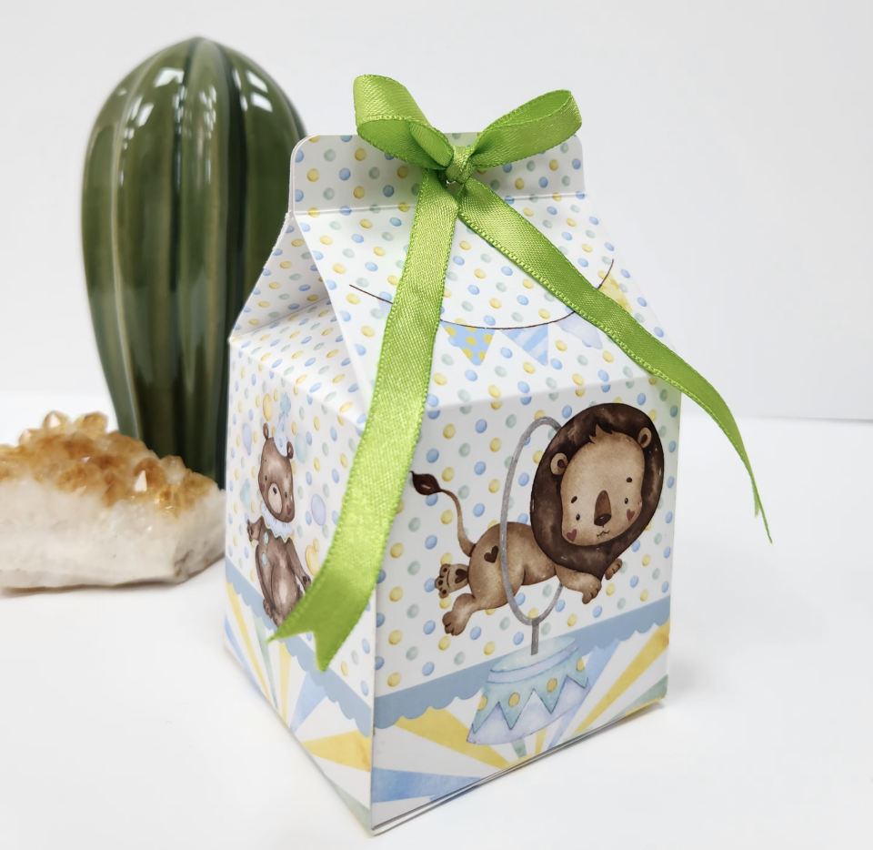 Sirk Konseptli Hediyelik Kutu (2'li)