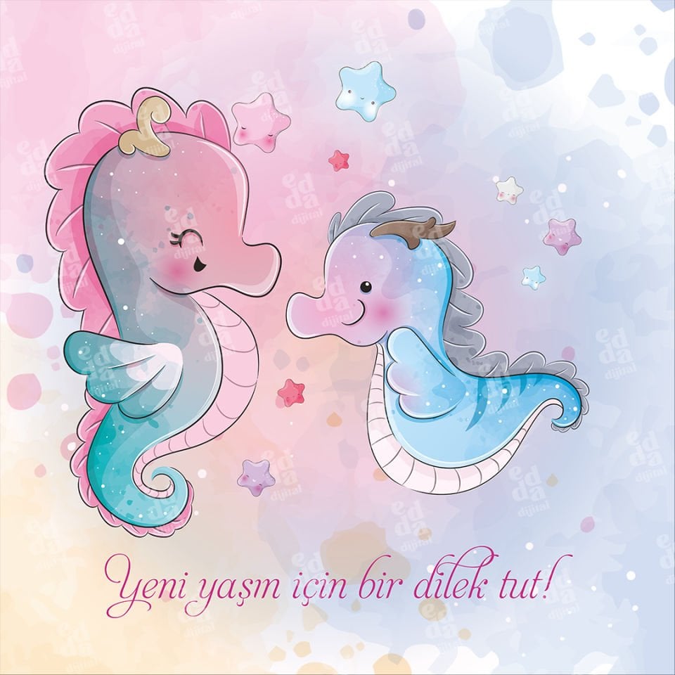 Denizatı Temalı Doğum Günü Afişi