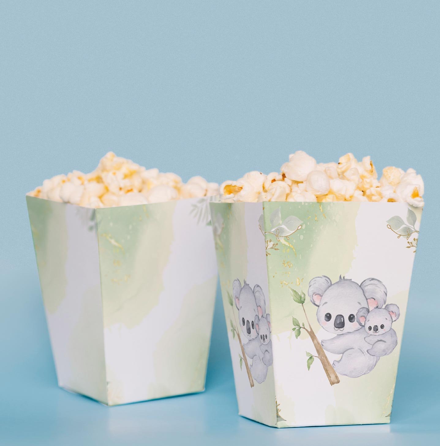 Koala Temalı Pop Corn Kutusu