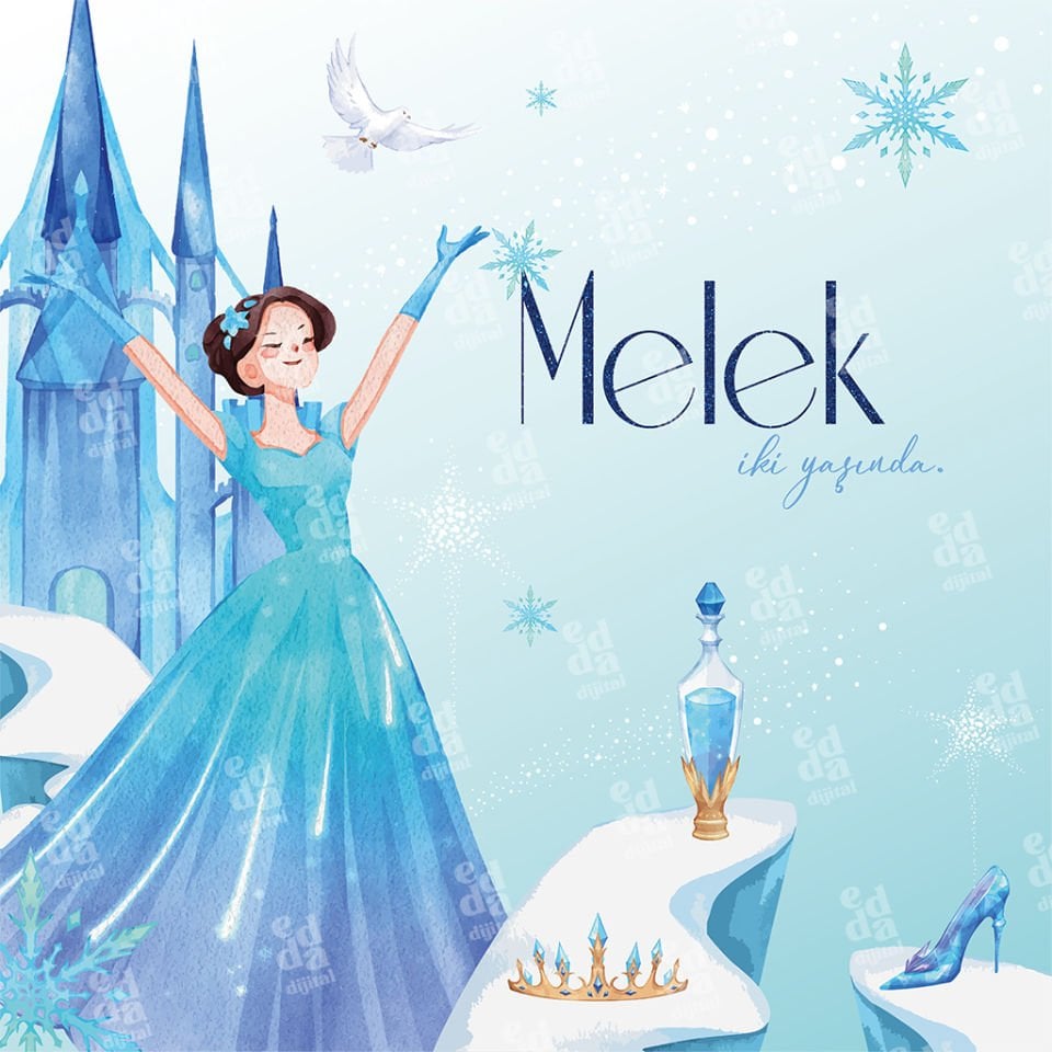 Kış Prensesi Temalı Doğum Günü Afişi