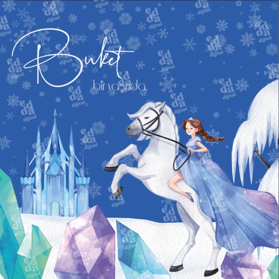 Kış Prensesi Temalı Doğum Günü Afişi