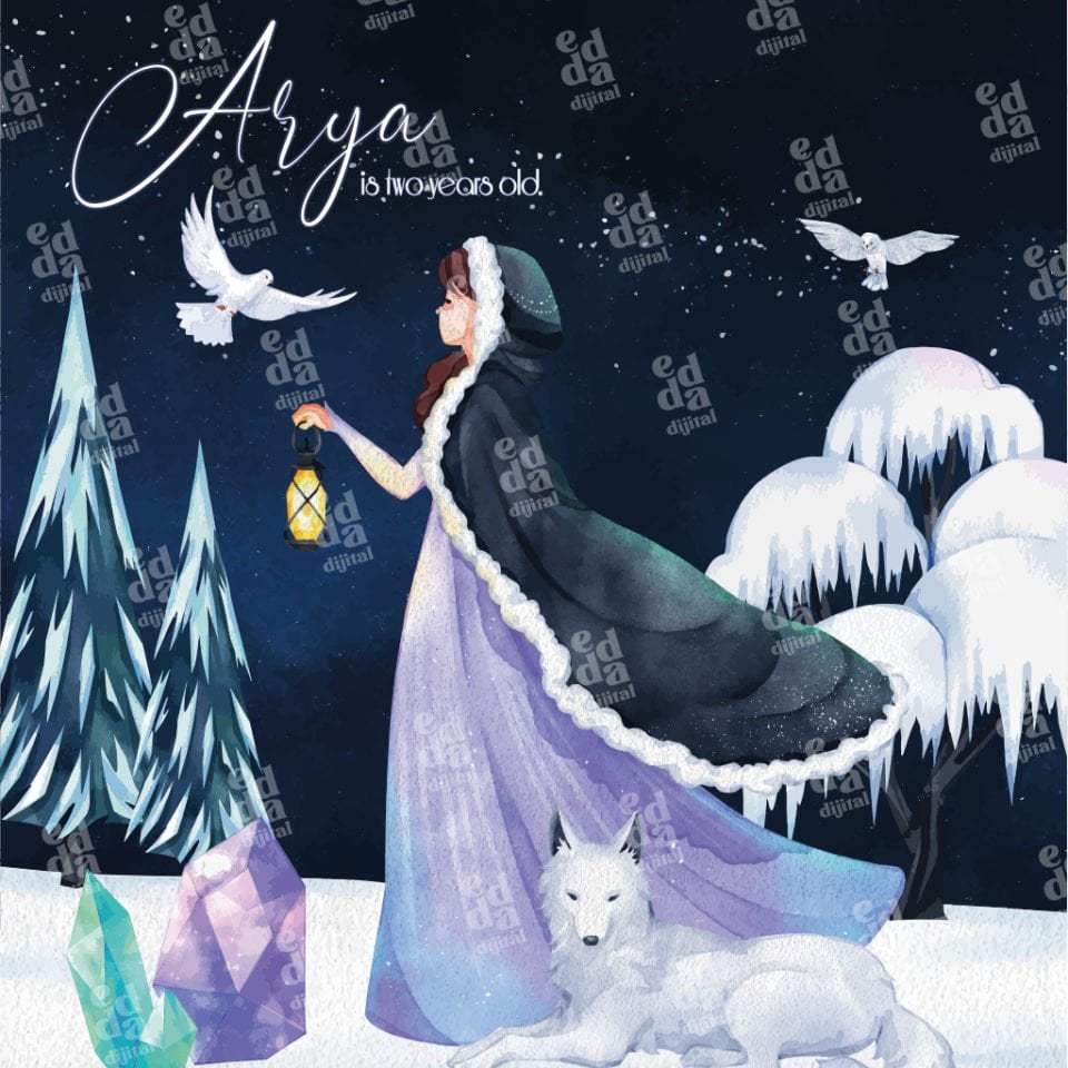 Kış Prensesi Temalı Doğum Günü Afişi