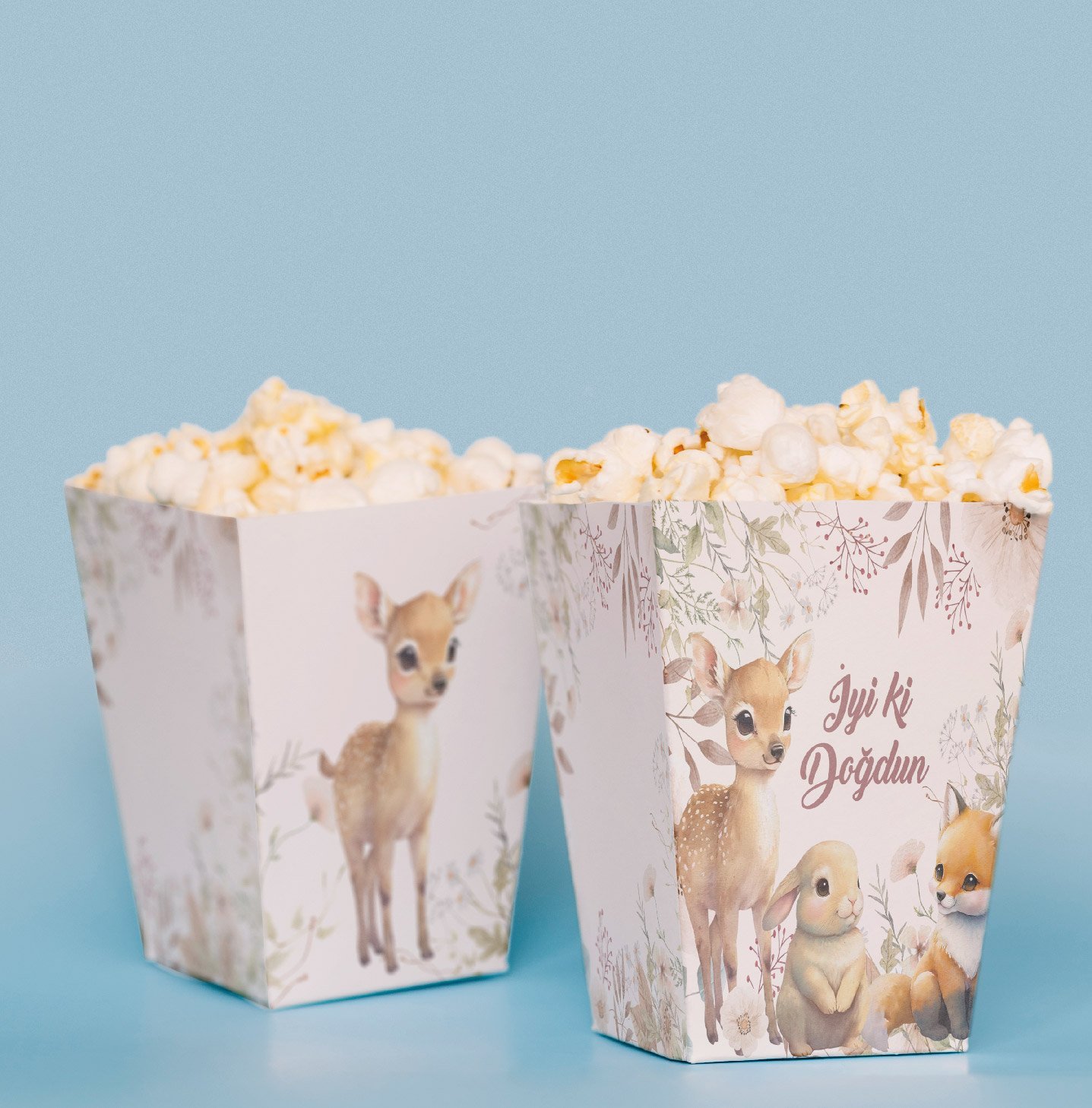 Sevimli Hayvanlar Temalı Pop Corn Kutusu