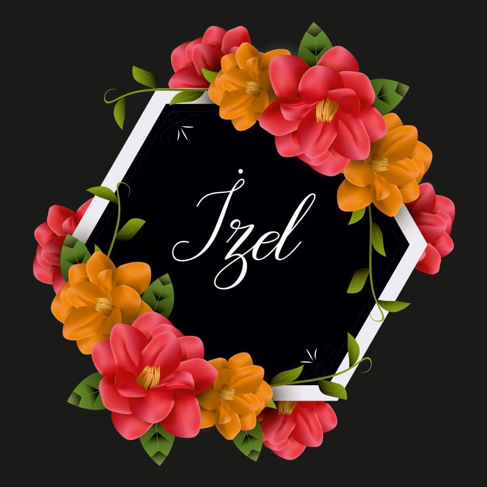 nli Dans Pisti Kaplaması