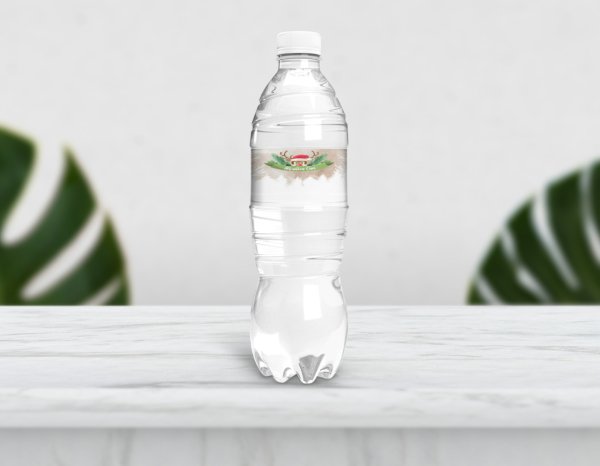 Kış Temalı Kahverengi Su Şişesi Etiketi