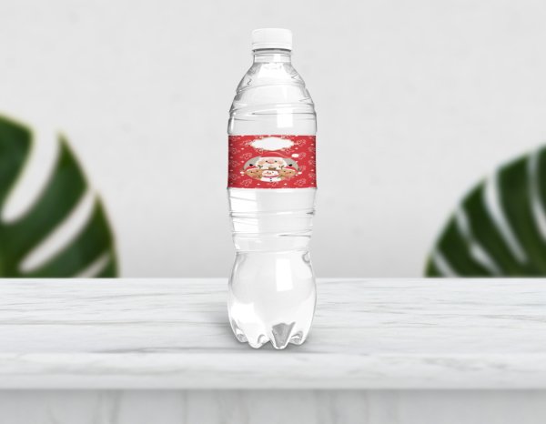 Noel baba Kış Temalı Su Şişesi Etiketi