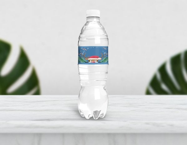 Kış Temalı Mavi Su Şişesi Etiketi